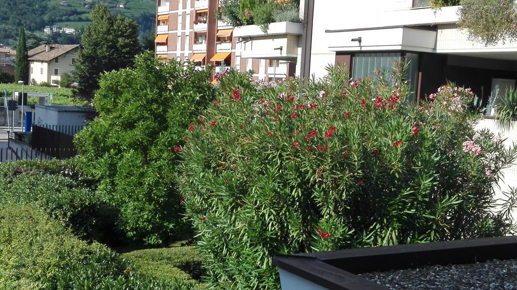 Camere Bolzano Da Glauco Eksteriør bilde